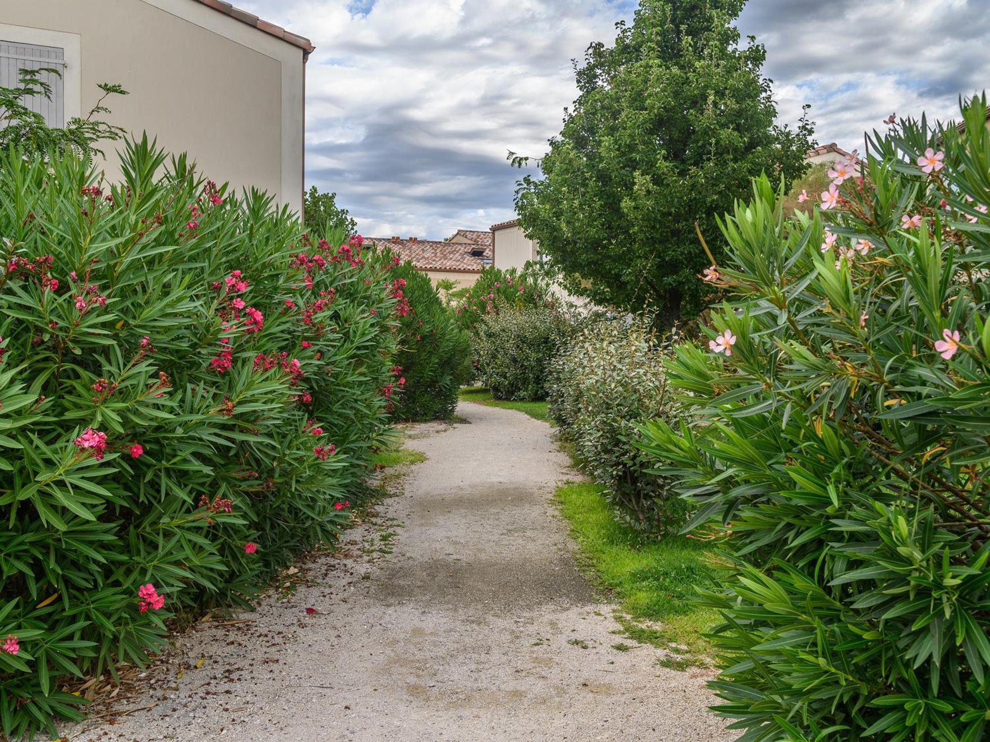 Vacanceole - Residence Les Demeures Du Ventoux Aubignan Zewnętrze zdjęcie